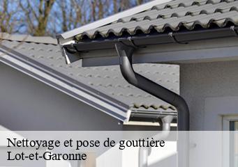 Nettoyage et pose de gouttière