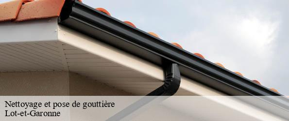 Nettoyage et pose de gouttière