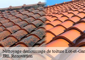 Nettoyage demoussage de toiture