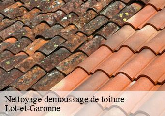 Nettoyage demoussage de toiture