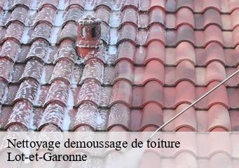 Nettoyage demoussage de toiture
