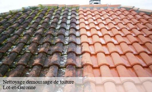 Nettoyage demoussage de toiture