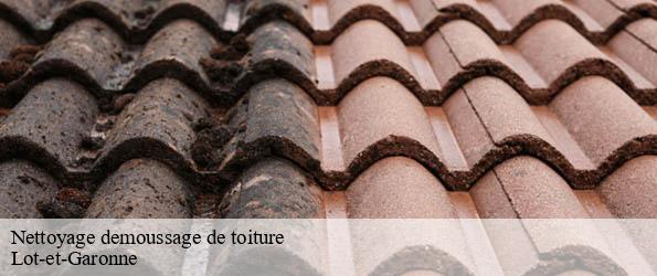Nettoyage demoussage de toiture