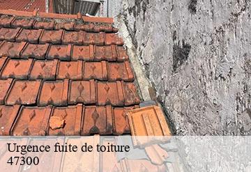 Urgence fuite de toiture