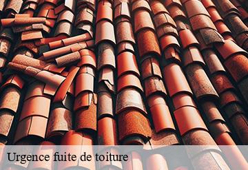 Urgence fuite de toiture