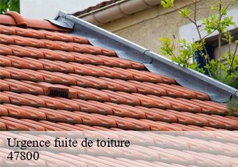 Urgence fuite de toiture