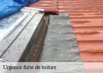 Urgence fuite de toiture