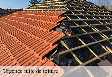 Urgence fuite de toiture