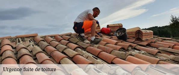 Urgence fuite de toiture
