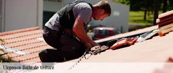 Urgence fuite de toiture