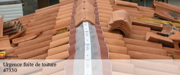 Urgence fuite de toiture