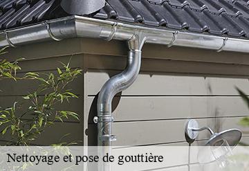 Nettoyage et pose de gouttière