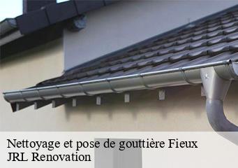 Nettoyage et pose de gouttière