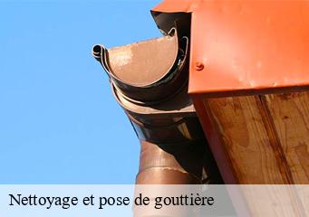 Nettoyage et pose de gouttière