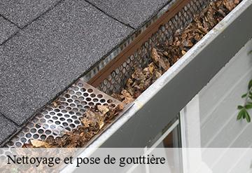 Nettoyage et pose de gouttière