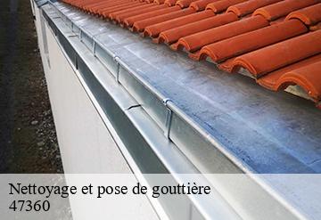 Nettoyage et pose de gouttière