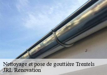 Nettoyage et pose de gouttière
