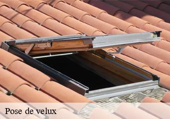 Pose de velux