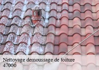 Nettoyage demoussage de toiture