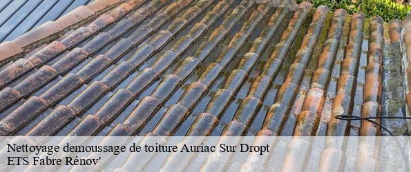 Nettoyage demoussage de toiture