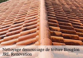 Nettoyage demoussage de toiture