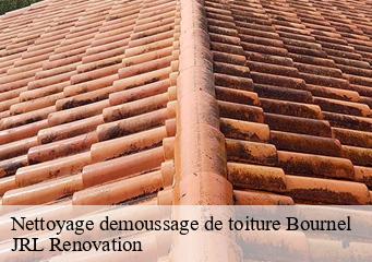 Nettoyage demoussage de toiture