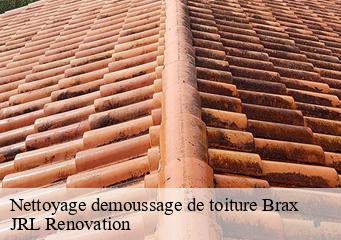 Nettoyage demoussage de toiture