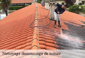 Nettoyage demoussage de toiture