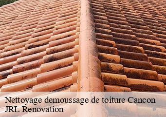 Nettoyage demoussage de toiture