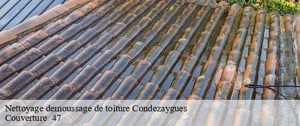 Nettoyage demoussage de toiture