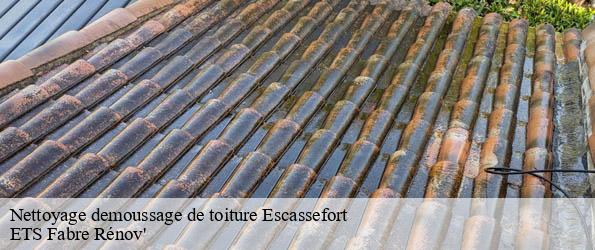Nettoyage demoussage de toiture