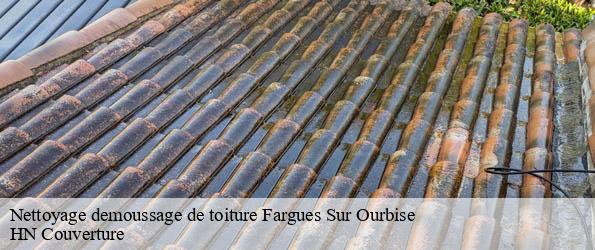 Nettoyage demoussage de toiture
