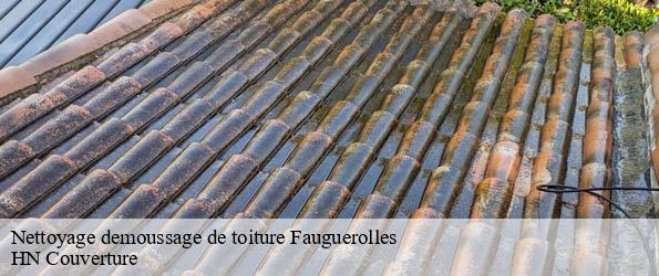 Nettoyage demoussage de toiture