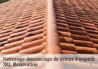 Nettoyage demoussage de toiture