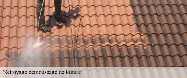 Nettoyage demoussage de toiture