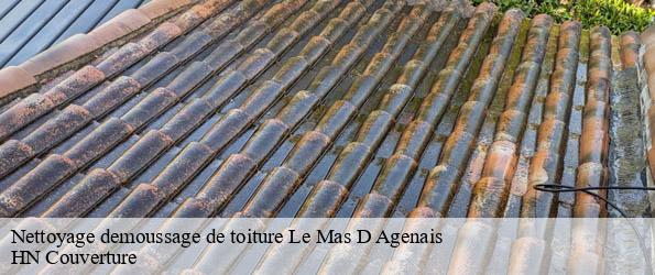 Nettoyage demoussage de toiture