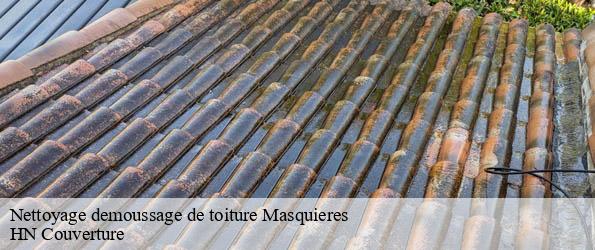 Nettoyage demoussage de toiture