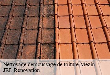 Nettoyage demoussage de toiture