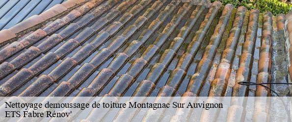 Nettoyage demoussage de toiture