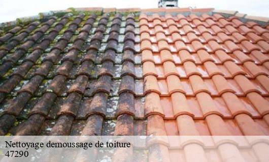 Nettoyage demoussage de toiture