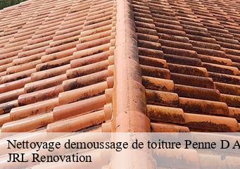 Nettoyage demoussage de toiture