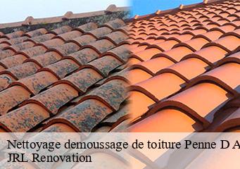 Nettoyage demoussage de toiture