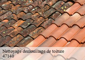 Nettoyage demoussage de toiture