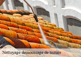 Nettoyage demoussage de toiture