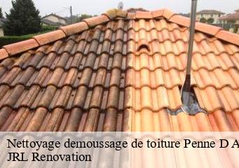 Nettoyage demoussage de toiture