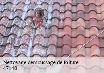 Nettoyage demoussage de toiture
