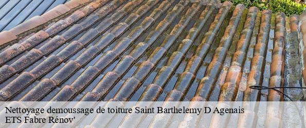 Nettoyage demoussage de toiture