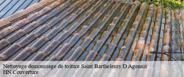 Nettoyage demoussage de toiture