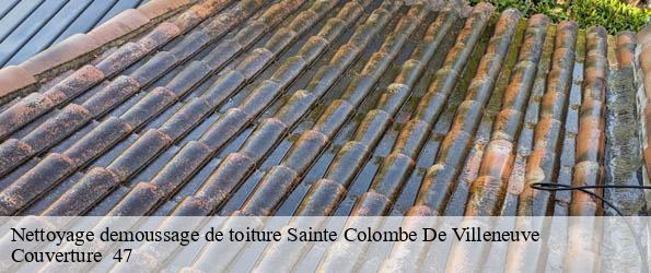 Nettoyage demoussage de toiture