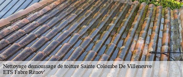 Nettoyage demoussage de toiture